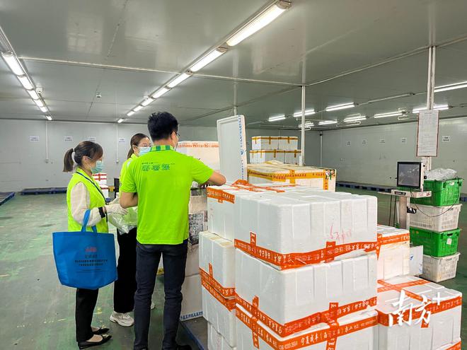凌晨出擊，守護舌尖安全 全省2165家農貿市場全面啟動食用農產品快速檢測
