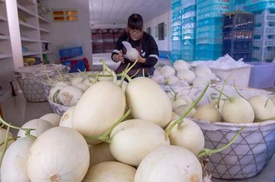 浦東率先啟動食用農產品“一證一碼”追溯新機制，年內力爭實現全覆蓋