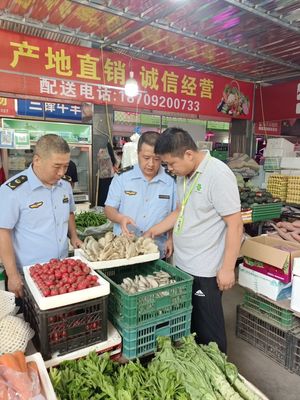 筑牢安全防線，守護舌尖健康——區市場監管局全面開展市場銷售蘑菇風險排查專項行動